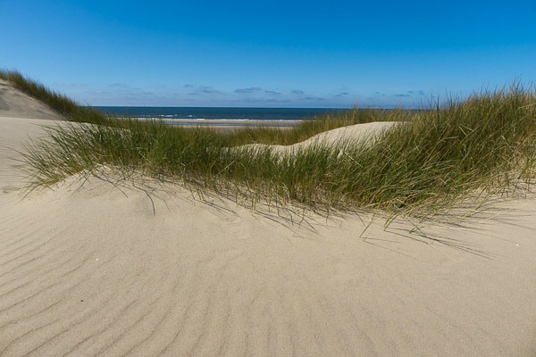 Ainsdale Sand dunes