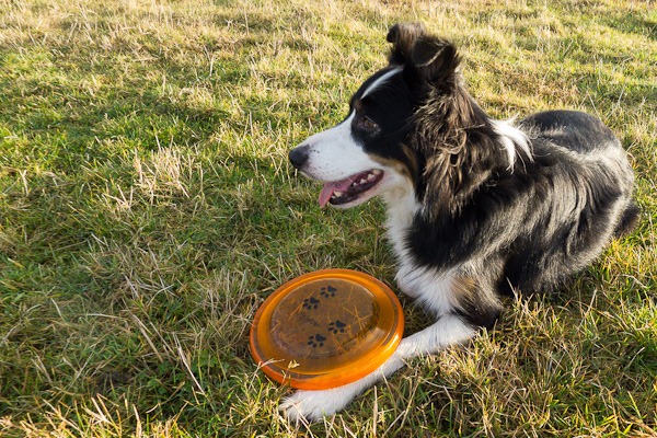 Waiting for the call from Noah