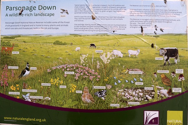 Information board