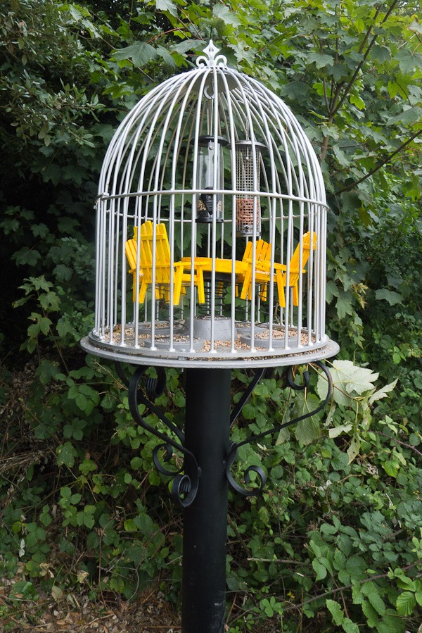 Bird table at Durlston Country Park