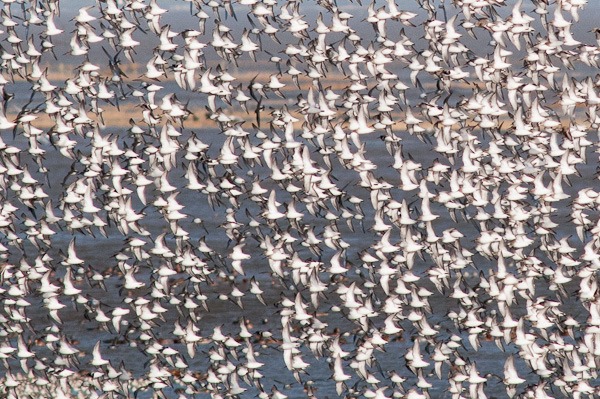 A change of direction and they've changed colour