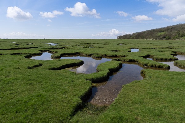 Sea washed turf