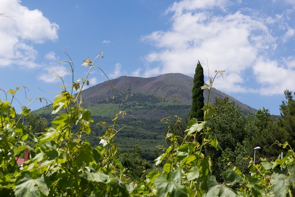 Vesuvius from a local Vineyard