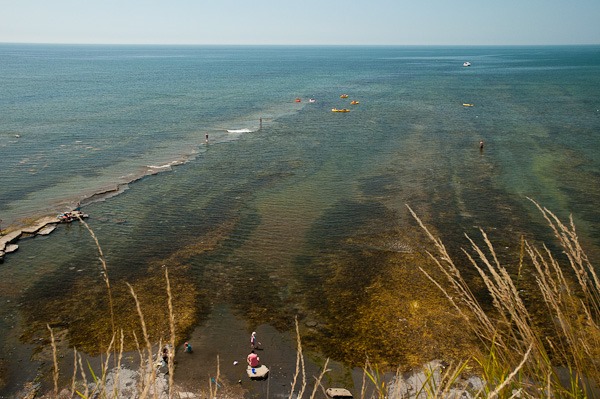 Kimmeridge Bay home to the Purbeck Marine Wildlife  Reserve