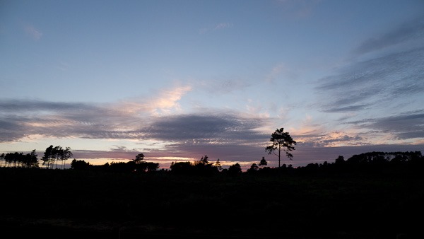 Arne at dusk