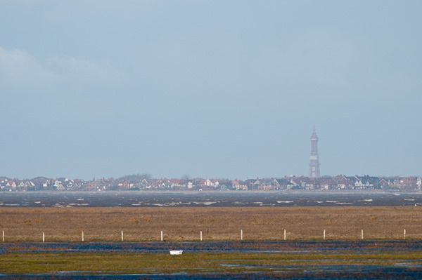 Oh, I do like to be by the seaside .....