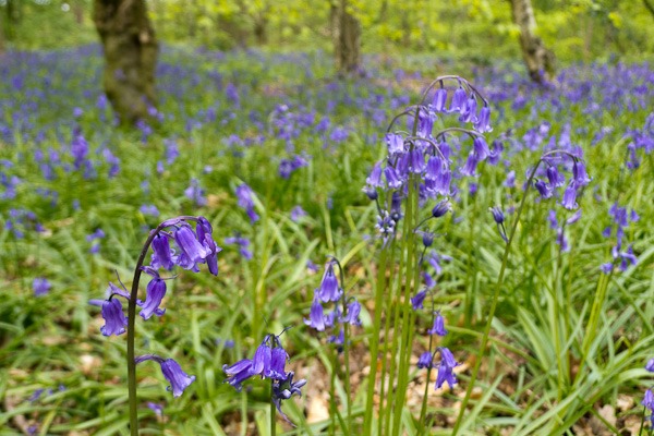 Despite the overnight showers still looking good