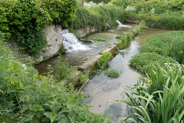 Watercress Beds at Ewelme. 