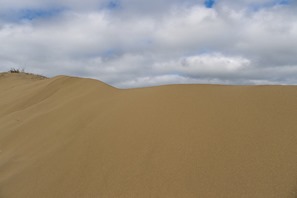 Sand-dune