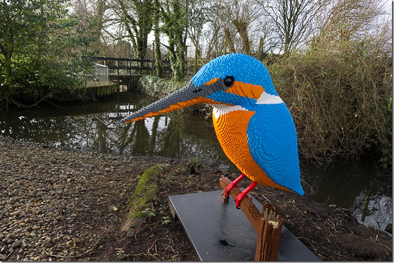 Lego Kingfisher at WWT Martin Mere