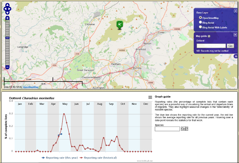 Link to Birdtrack - Dotterel information