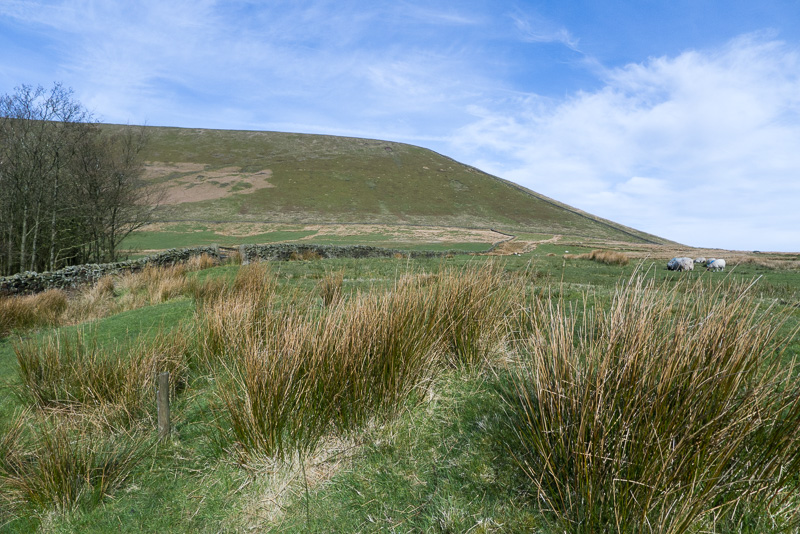 Pendle Hill 