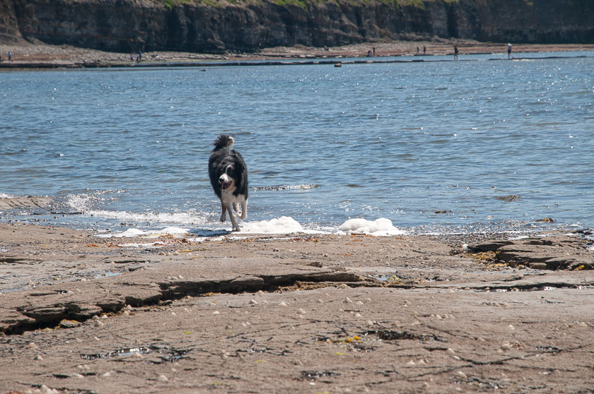 Jake, Kimmeridge Bay - Dorset