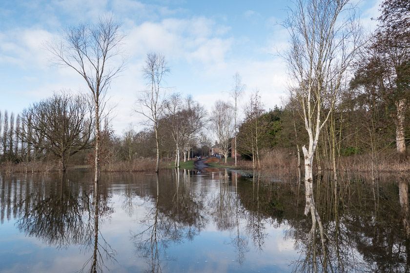 After the rain - the main footpath through Fletcher Moss Gardens, Didsbury