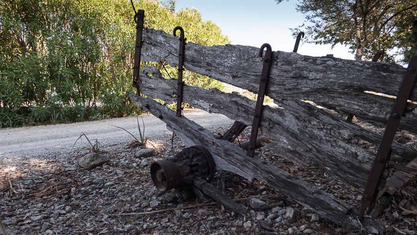 Sun-bleached remains of a grape barrow at Mortixt.