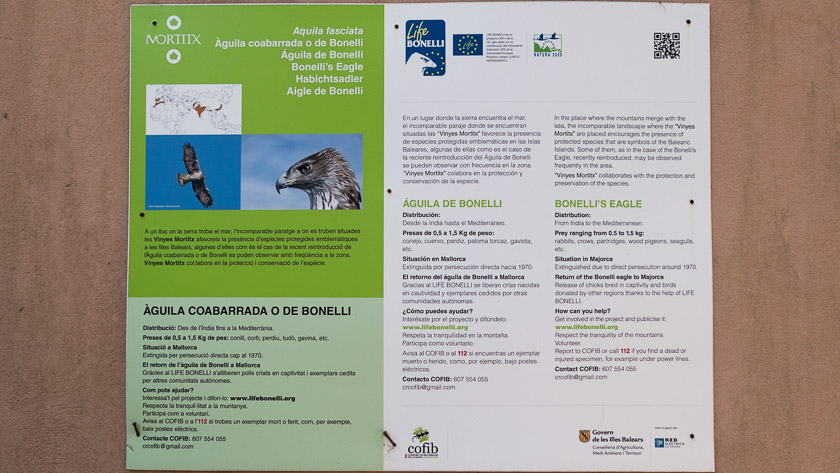 Bonelli's Eagle leaflet