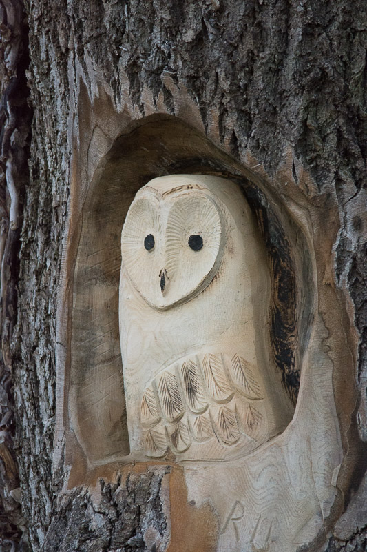 Owl carving in a dead tree stump at Leighton Moss