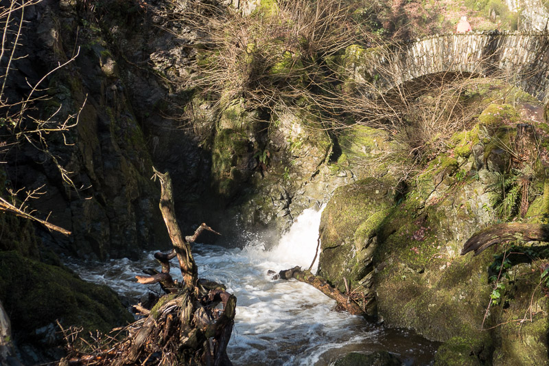 An unusual, arched bridge with the stones laid vertically. 